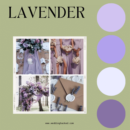 WEDDING-COLORs -PALETTE-LAVENDER lilac