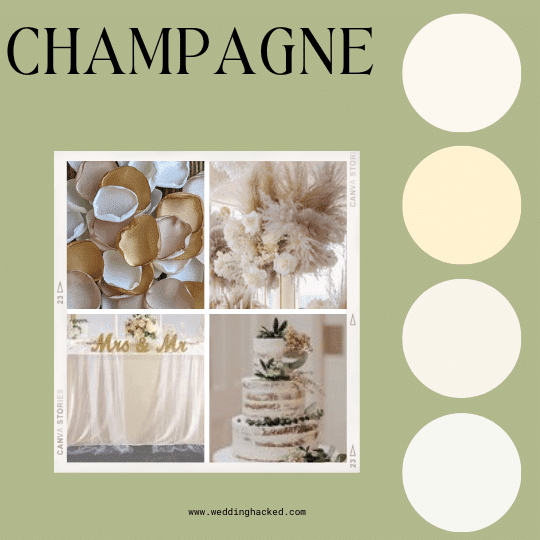 WEDDING-COLORS-PALETTE-CHAMPAGNE