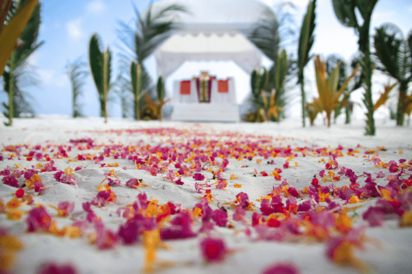 How Many Petals Do You Need For The Wedding aisle