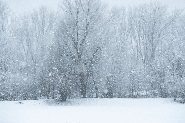 what does snow on your wedding day mean