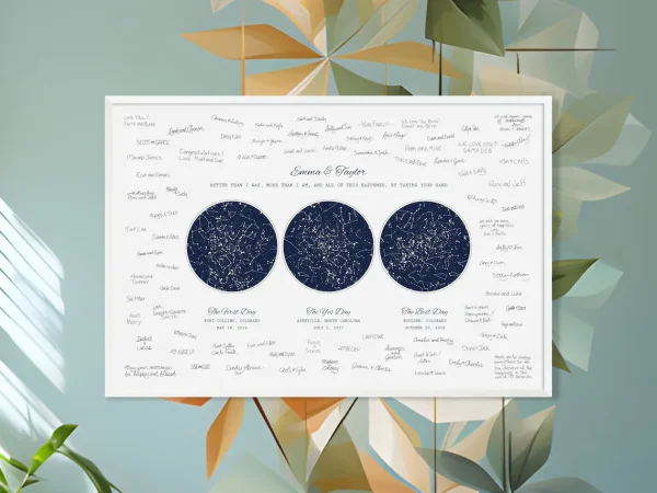 wedding guest book alternatives night sky