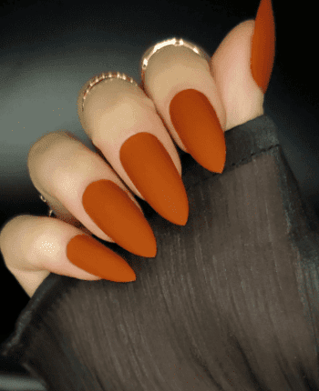 classy coffin fall nails, almond fall nails, fall ombre nails