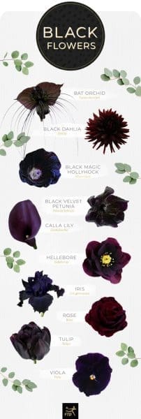 dark-moody-romantic-wedding-dark-flowers