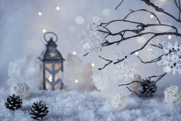 winter-bachelorette-party-ideas-winter-wonderland