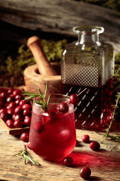 winter-wonderland-cocktails-gin-and-tonic-cranberry