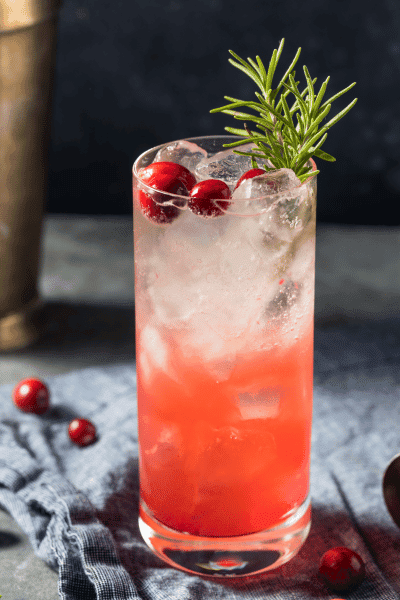 winter-wonderland-cocktails-gin-rosemary-orange-cranberry-fizz