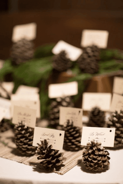 Pinecone place card holders