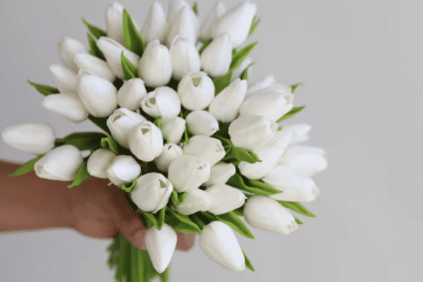 Real Touch Cream White Mini Tulips-12 heads