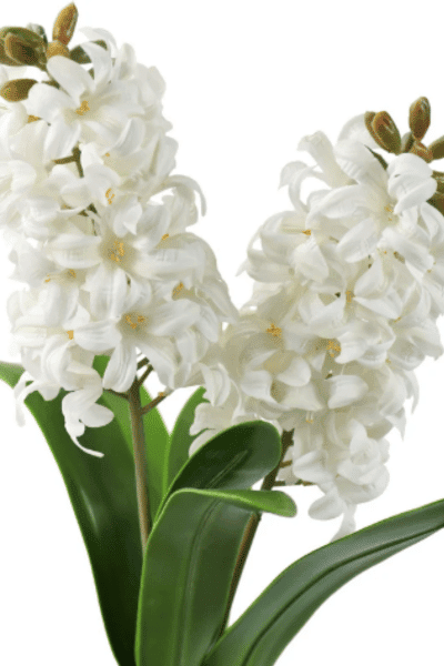 Real Touch Hyacinth (White) Artificial Flowers ‘Petals Feel and Look like Fresh Hyacinth' Wedding