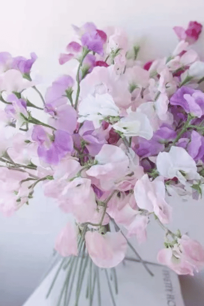 Sweet Pea Blossom Artificial Faux Flower Home Decor Flower