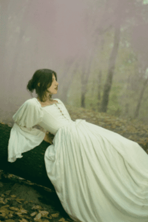 Renaissance Lace-Front Wedding Dress