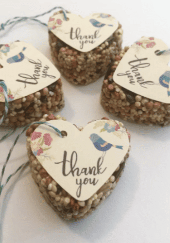 Bird Seed Mini Favors, Wedding, Garden, Botanical, Favors