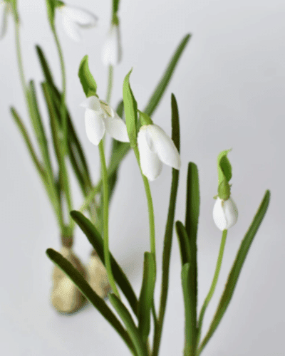 10 Faux Standing Snowdrop wBulb