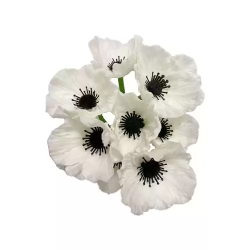 10 Stem 11" Bouquets Artificial Flowers Poppy Flowers, No Fade Faux Anemone (White)