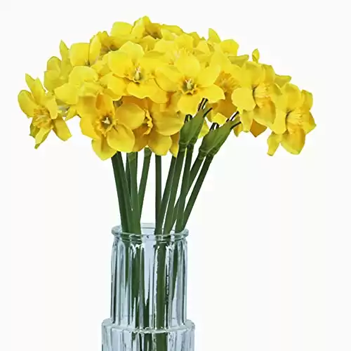 Artificial Daffodil Flowers 15.8 Inches Narcissus Spring Flower (Yellow, 12)