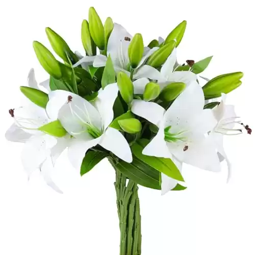 8 Pcs Artificial Tiger Lily Real Touch Flowers (White, 8)