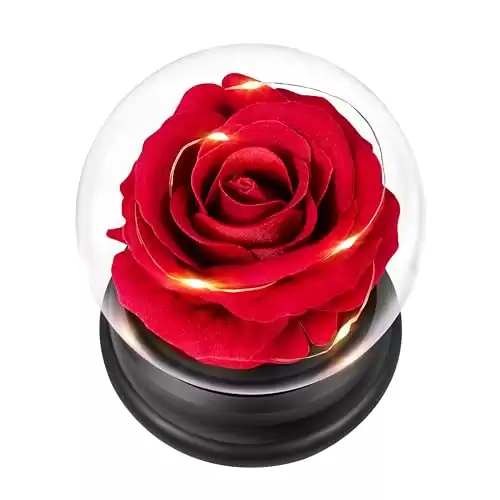 Calovebby Preserved Rose Flower, Beauty and The Beast Rose Gifts for Women Mom Wife Girlfriend, Red Silk Rose Gifts Led Light Up for Christmas, Birthday, Anniversary, Wedding, Valentines