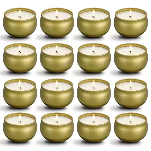 qinxiang Scented Candles Gifts Set,16 Pack Natural Soy Wax Travel Tin Jar Candles for 2.5 OZ Aromatherapy Candles for Family Gatherings, Festive Candles