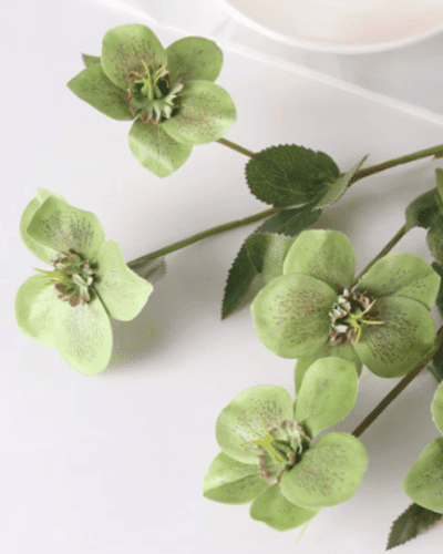 Fake Helleborus Flower Stems, Faux Lenten Rose Spray