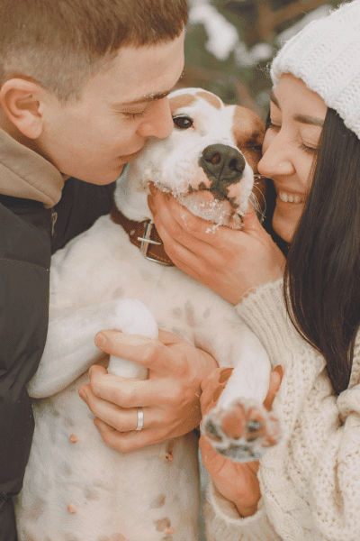 Involve Your Pets winter engagement photos