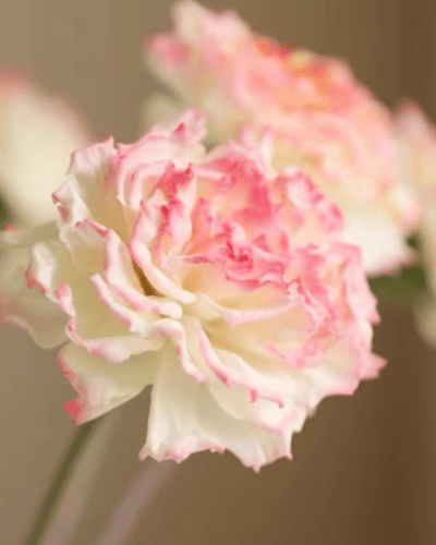 Real Touch Carnation Artificial Faux Flower