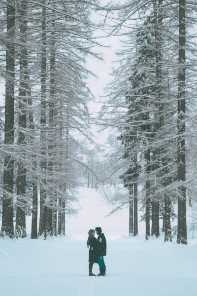 Snow-Covered Stroll in the Woods