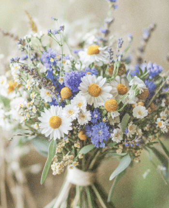blue cornflower lavender daisies and thyme wedding bouquet