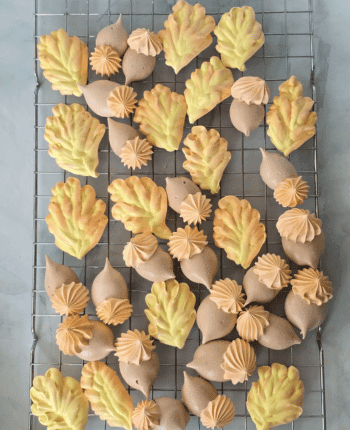 Fall Leaves and Acorns Meringue cookies