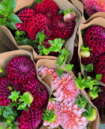 fall wedding flowers dahlia