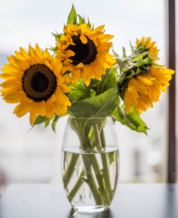 fall wedding flowers sunflowers