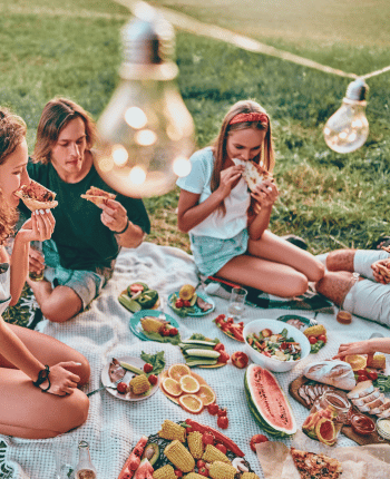 picnic engagement party