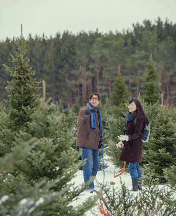 christmas holiday proposal ideas tree farm