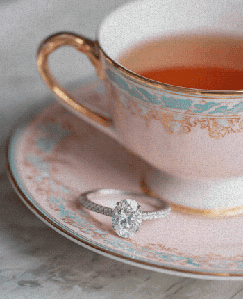 christmas tree proposal ideas  afternoon tea