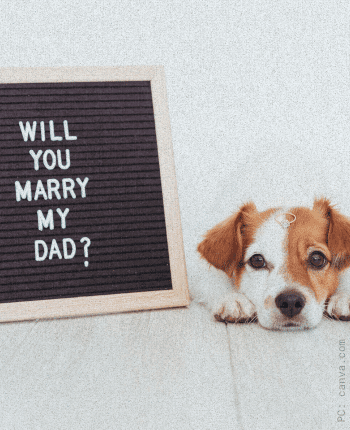 proposal ideas with dog pet for holidays