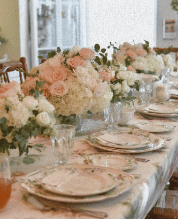 winter bridal shower venue at home ideas