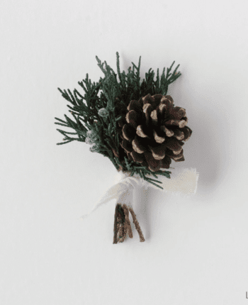 Boutonniere, Pine Cone with Evergreens